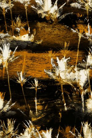 椰子树印花华亿平台图片