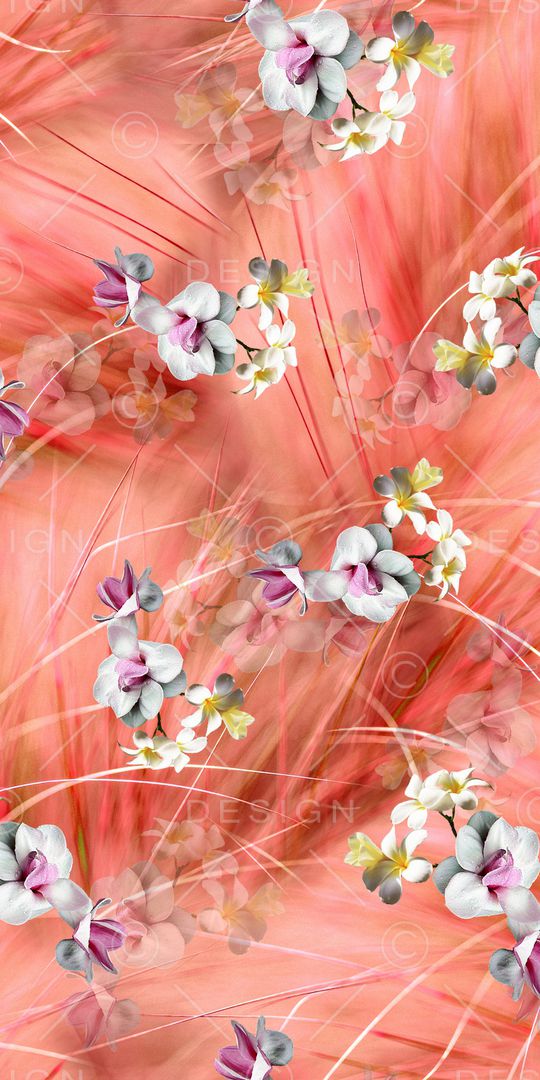 女装印花华亿平台图片