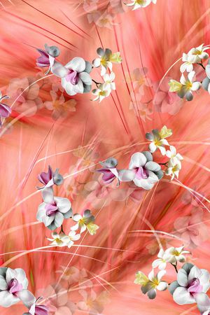 女装印花华亿平台图片