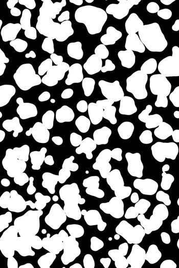 1403613-21030605 - 副本