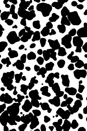 黑白华亿平台印花华亿平台图片