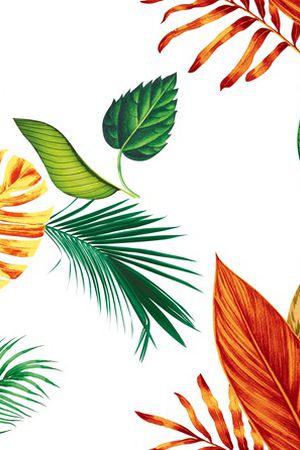 女装定位花印花华亿平台图片