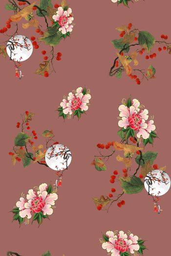 1403897-dear-20347-1