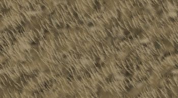 撞色印花华亿平台图片