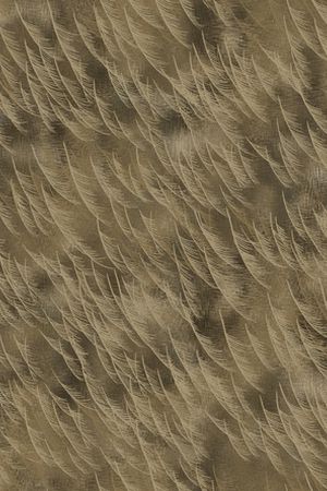 撞色印花华亿平台图片