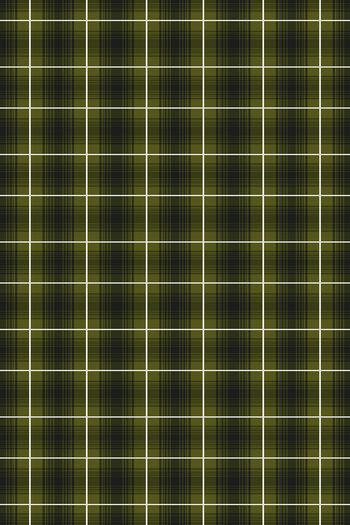 1404031-男杉格纹