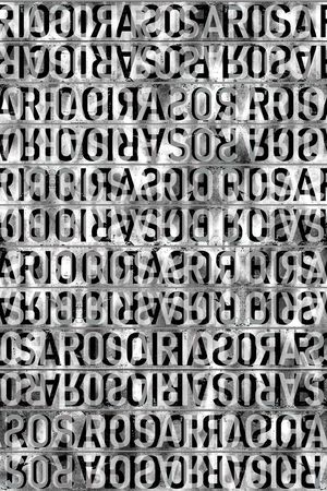 字母印花华亿平台图片