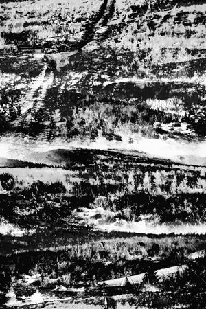 黑白华亿平台印花华亿平台图片