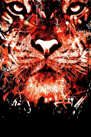 老虎印花华亿平台图片