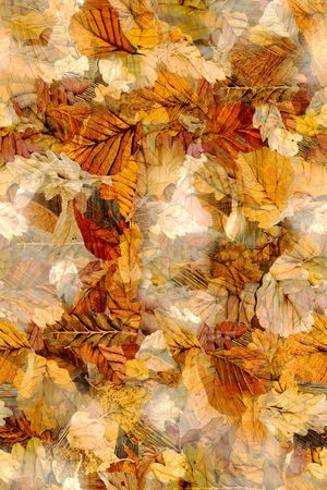 绿植树叶印花华亿平台图片