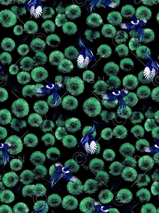 花鸟印花华亿平台图片