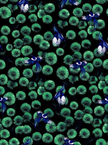 花鸟印花华亿平台图片