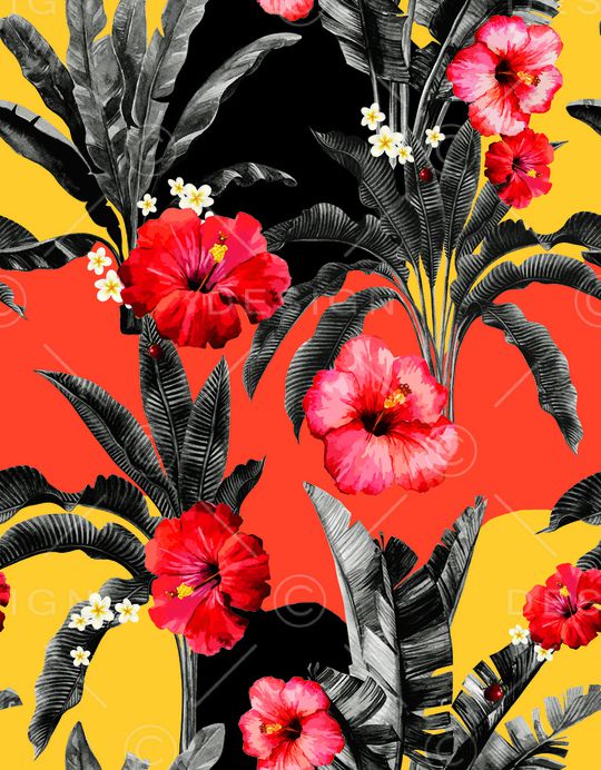 女装印花华亿平台图片