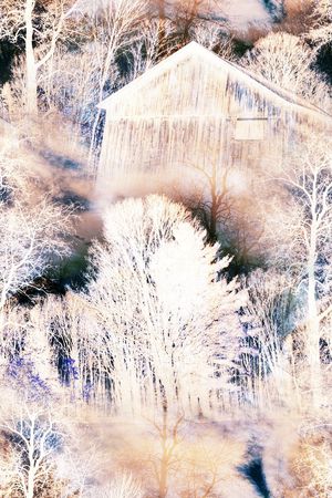 女装印花华亿平台图片