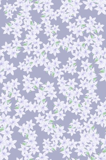 1405505-小碎花 兰花