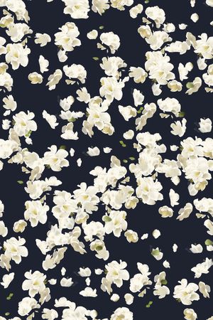 黑底花卉印花华亿平台图片