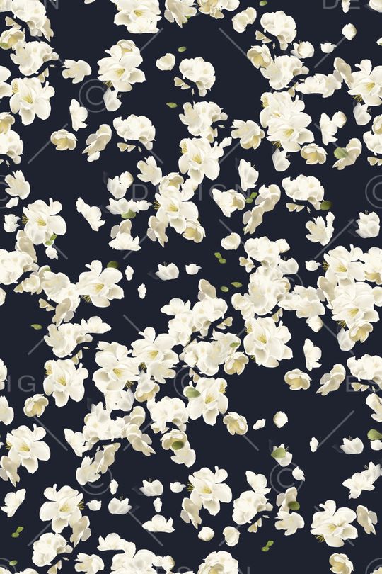 黑底花卉印花华亿平台图片