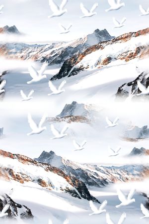 数码华亿平台印花华亿平台图片