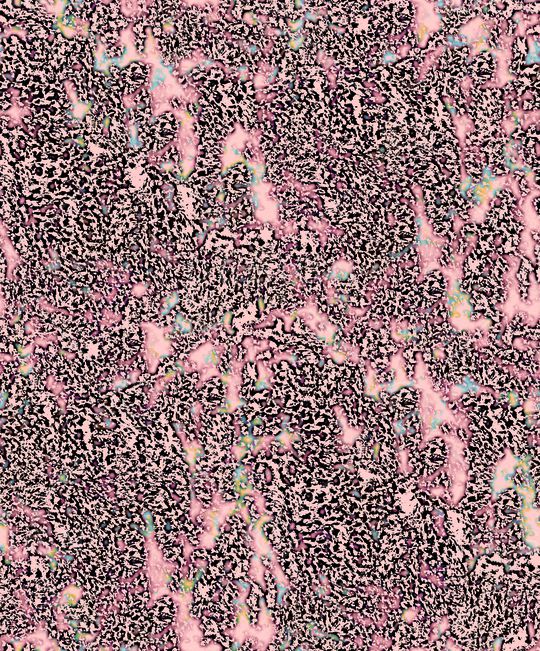 豹纹印花华亿平台图片