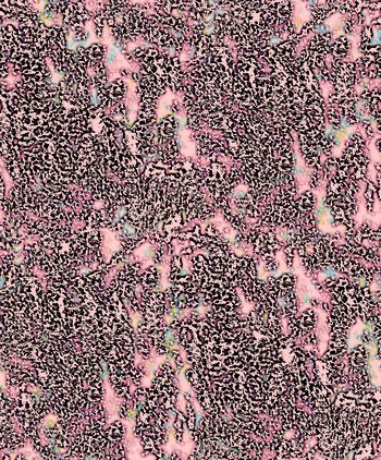 豹纹印花华亿平台图片