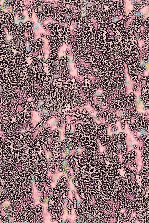 豹纹印花华亿平台图片