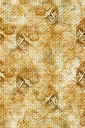 大牌风印花华亿平台图片