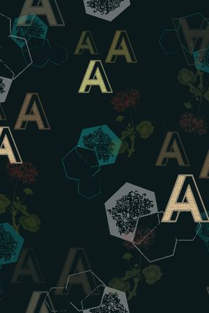 字母印花华亿平台图片