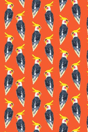 鹦鹉印花华亿平台图片