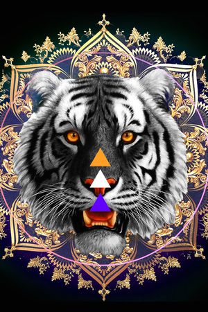 烟火印花华亿平台图片