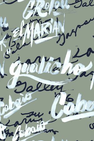 字母印花华亿平台图片