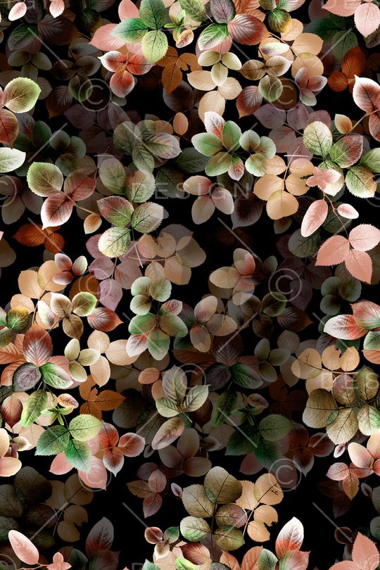 抽象花卉印花华亿平台图片