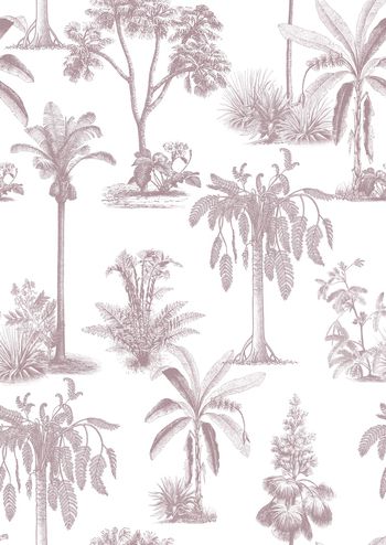 1408451-tropical ink han