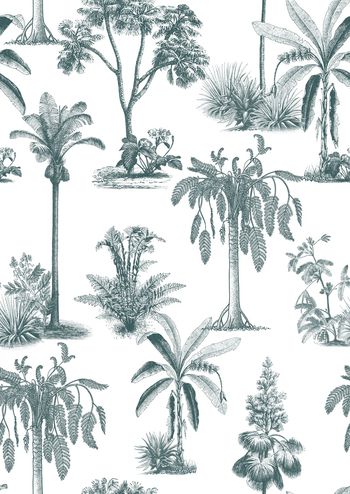 1408452-tropical ink han