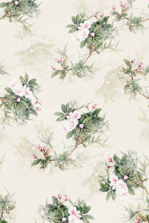 女装印花华亿平台图片