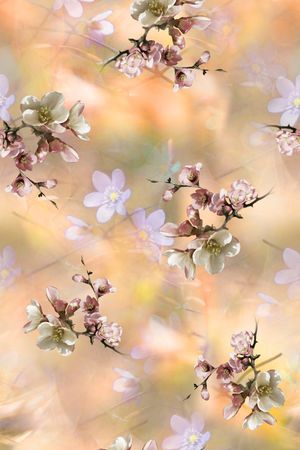 女装印花华亿平台图片