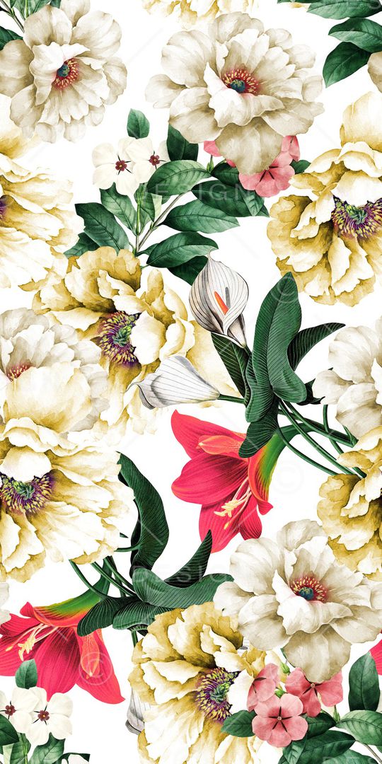 女装印花华亿平台图片