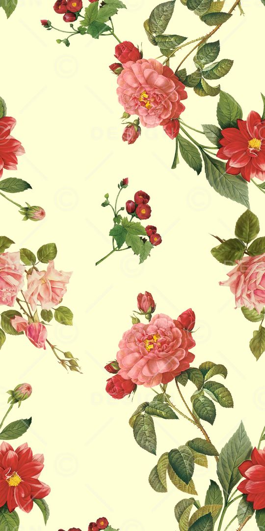 女装印花华亿平台图片