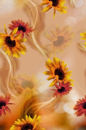 女装印花华亿平台图片