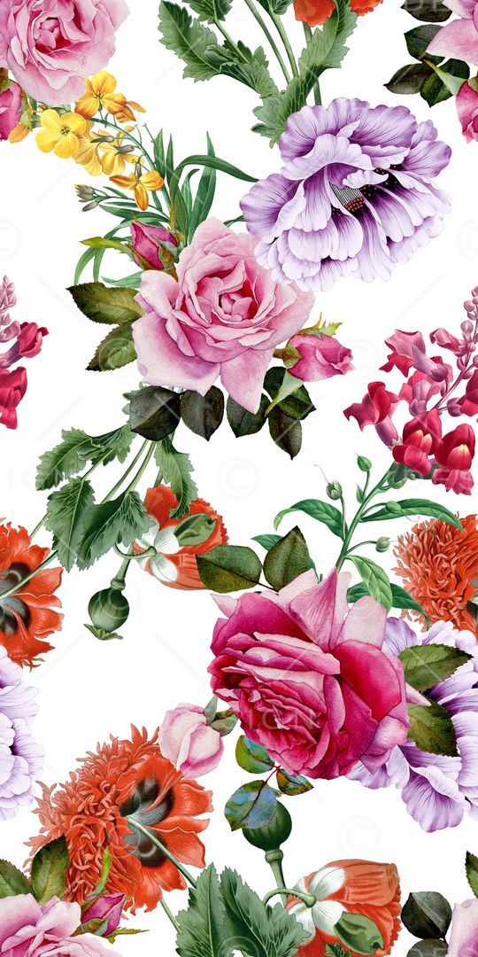 女装印花华亿平台图片