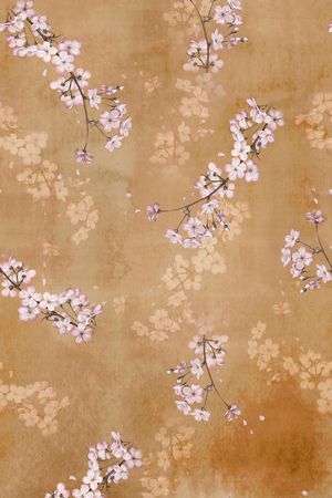 女装印花华亿平台图片