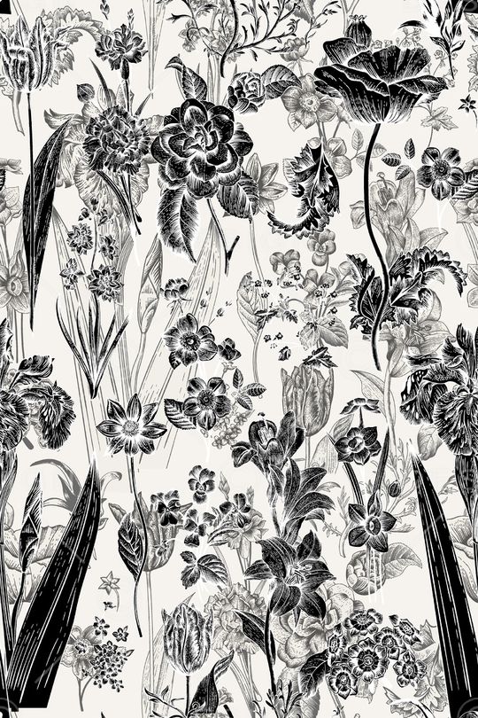 黑白华亿平台印花华亿平台图片