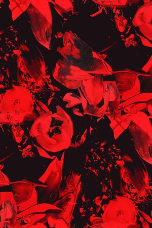 剪影印花华亿平台图片