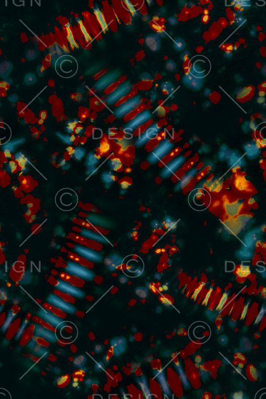 字母印花华亿平台图片