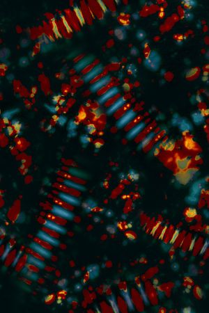 字母印花华亿平台图片