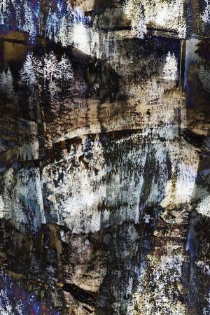 男装满版花印花华亿平台图片