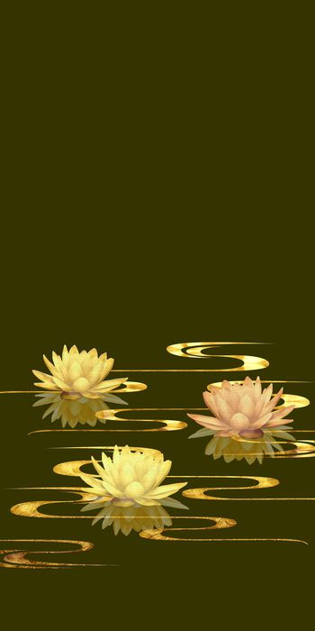 1411580-20215075005-1