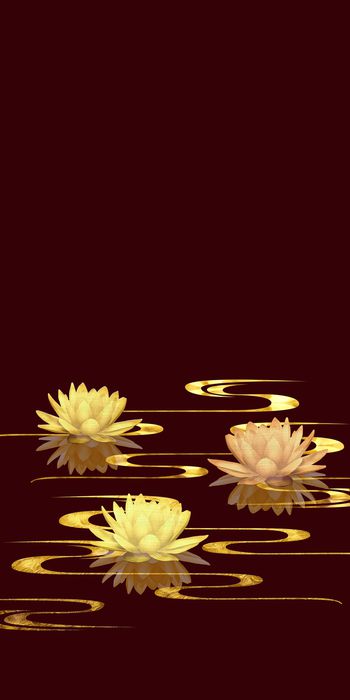 1411581-20215075005-2