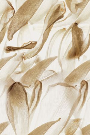 肌理印花华亿平台图片