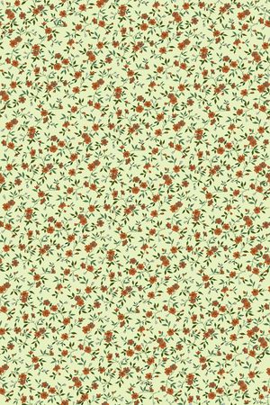 女装印花华亿平台图片