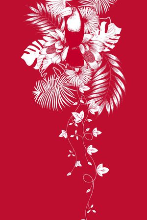 ALEXANDER McQueen印花华亿平台图片